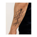 Thorny Rose
