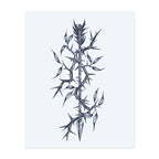 Thorny Rose