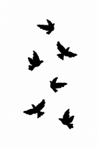 Minimal Birds